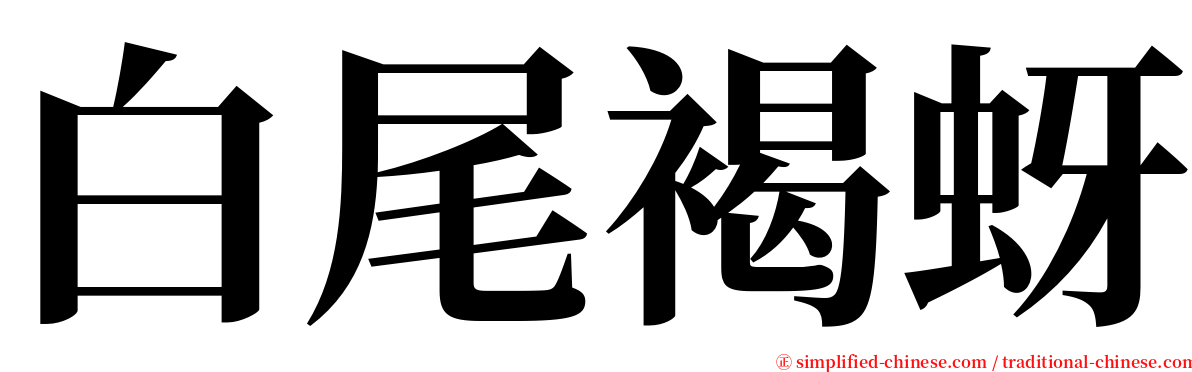 白尾褐蚜 serif font