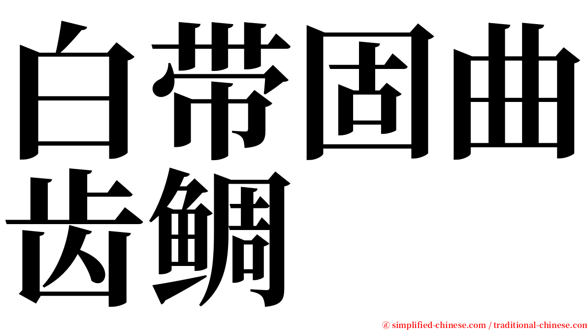 白带固曲齿鲷 serif font