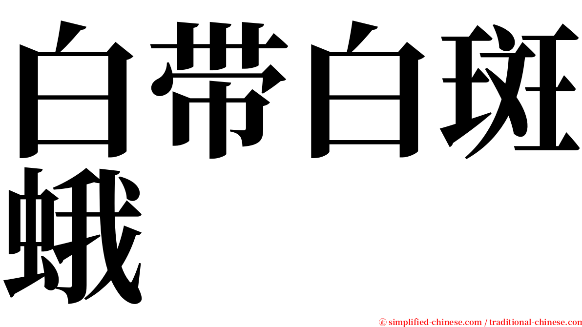 白带白斑蛾 serif font