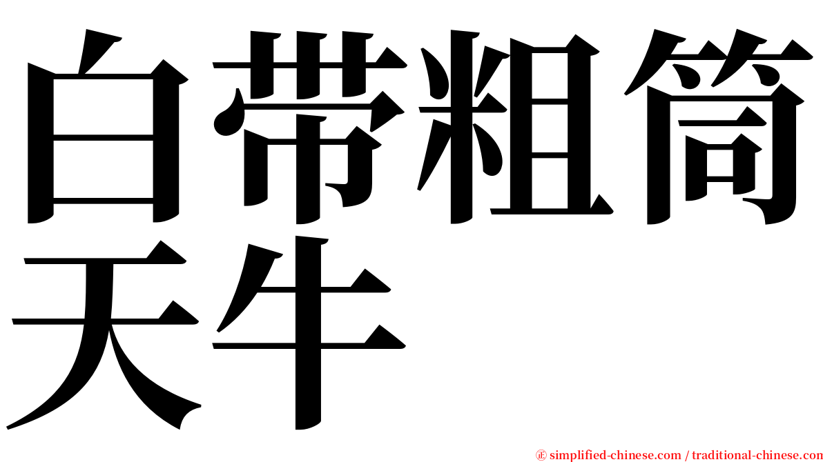 白带粗筒天牛 serif font