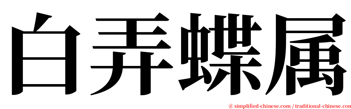 白弄蝶属 serif font