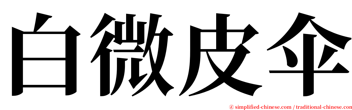 白微皮伞 serif font