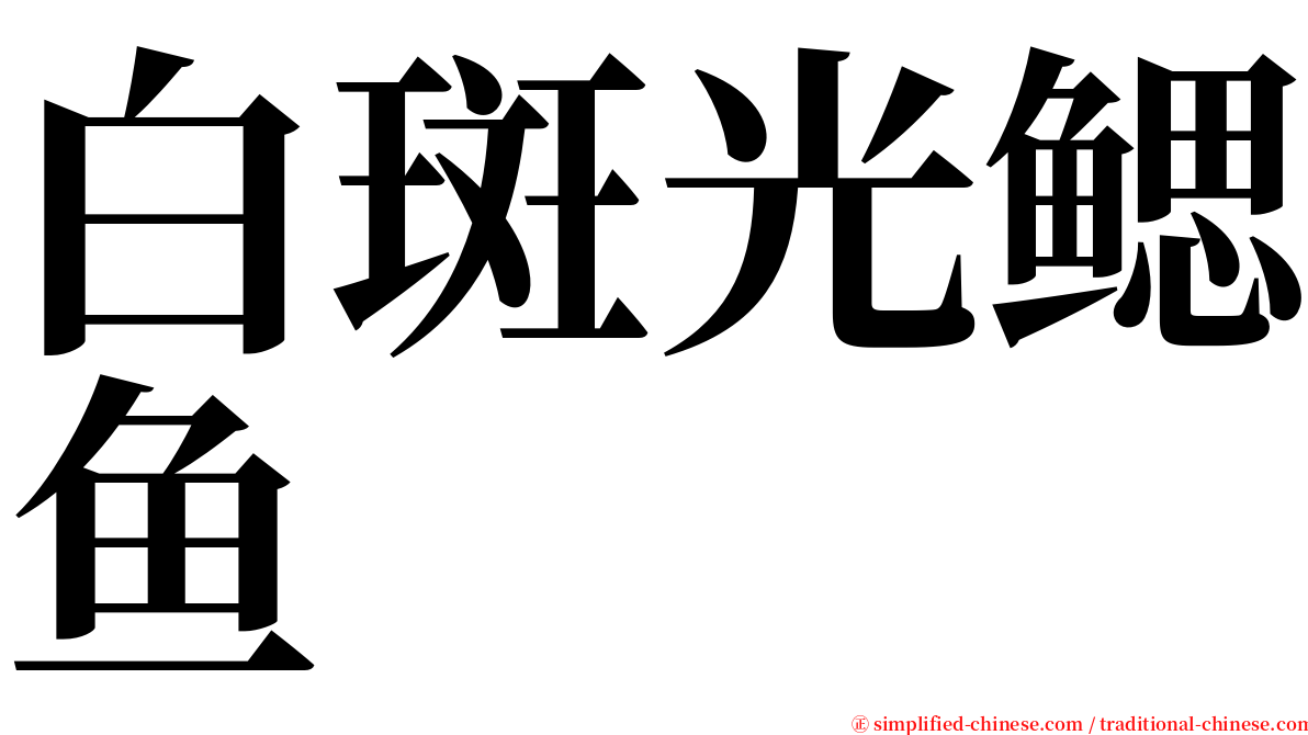 白斑光鳃鱼 serif font