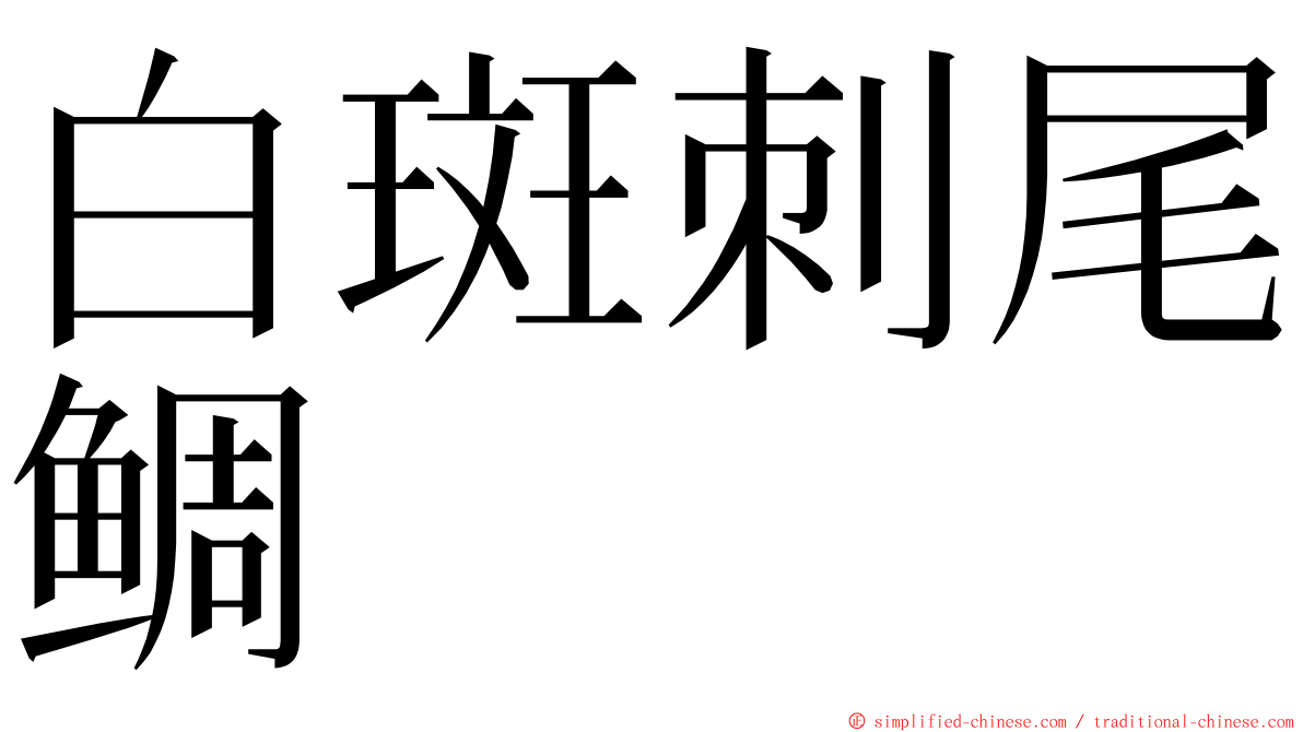 白斑刺尾鲷 ming font