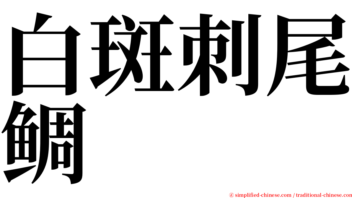 白斑刺尾鲷 serif font