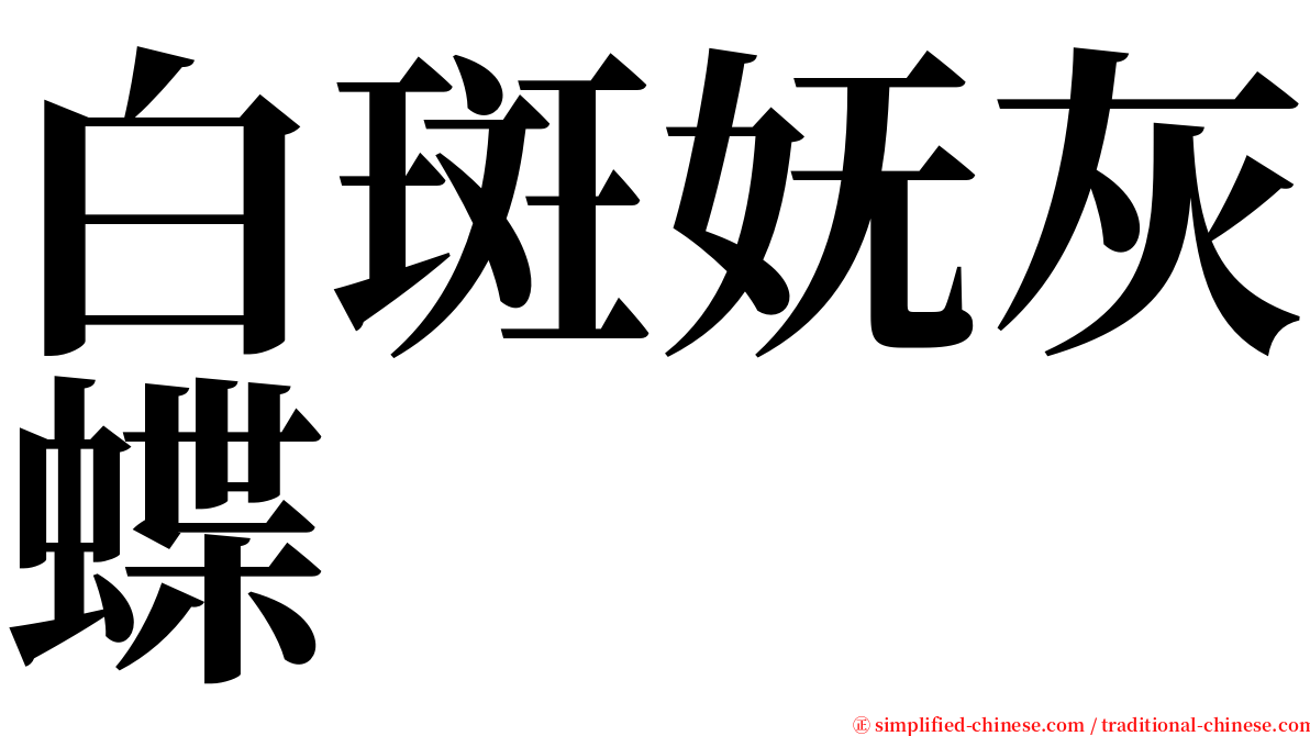 白斑妩灰蝶 serif font