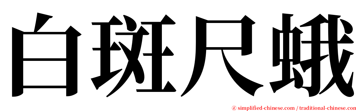 白斑尺蛾 serif font