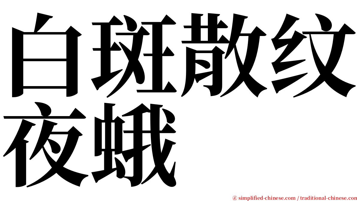 白斑散纹夜蛾 serif font