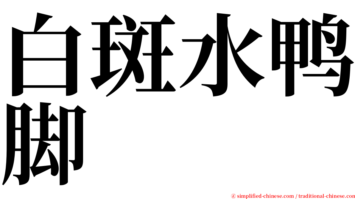 白斑水鸭脚 serif font