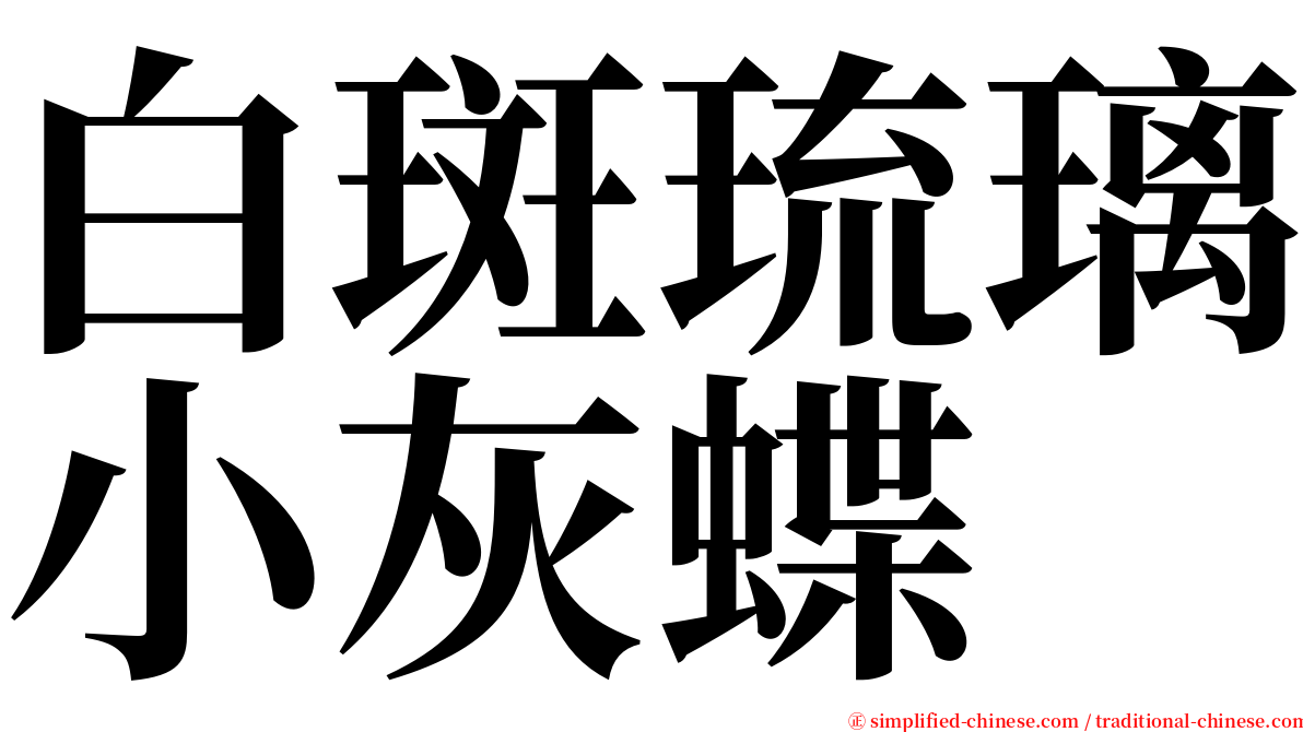 白斑琉璃小灰蝶 serif font