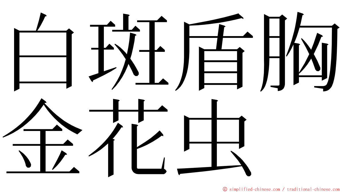 白斑盾胸金花虫 ming font