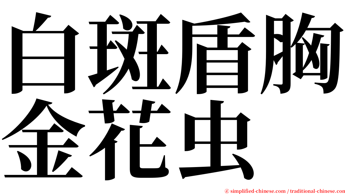 白斑盾胸金花虫 serif font