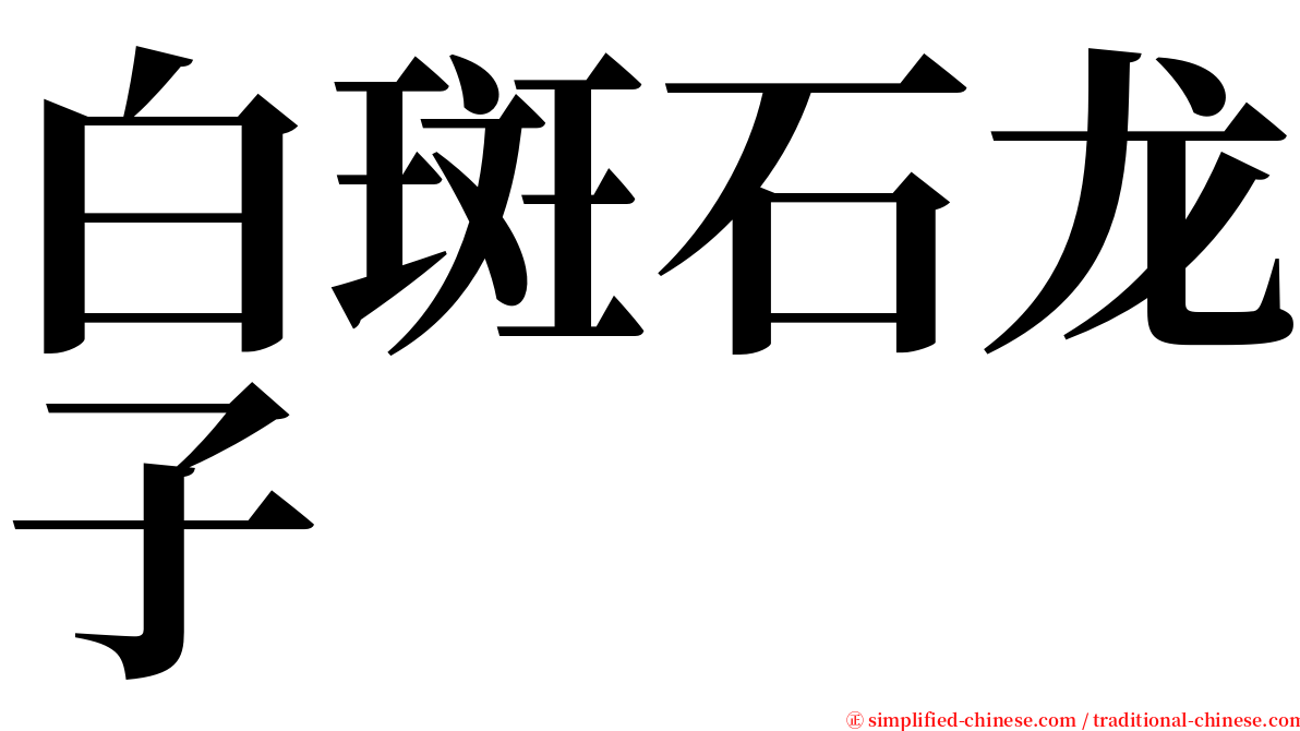 白斑石龙子 serif font