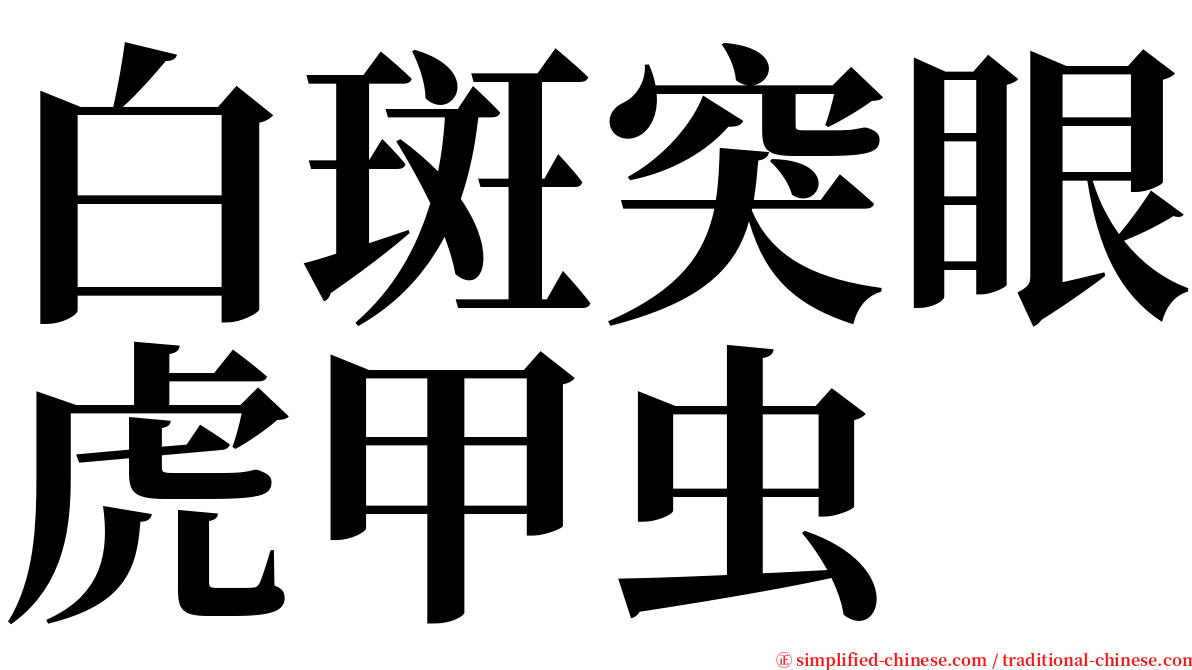 白斑突眼虎甲虫 serif font