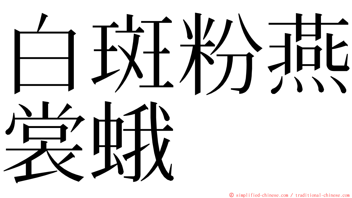 白斑粉燕裳蛾 ming font