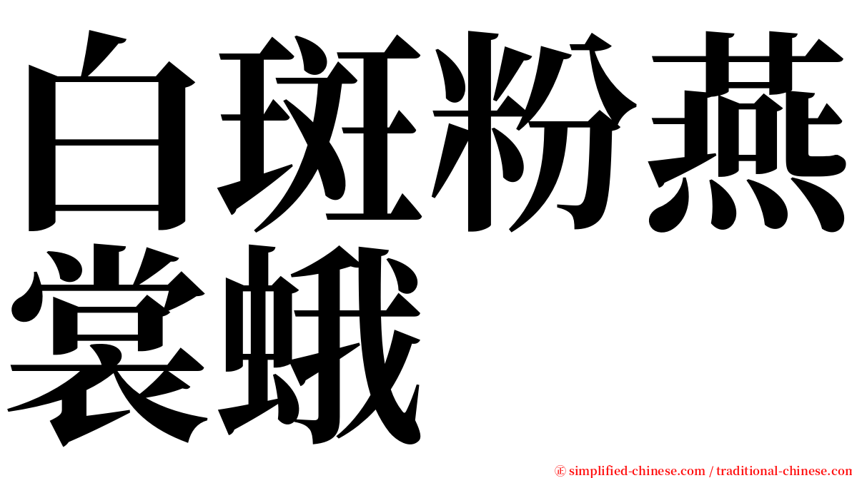 白斑粉燕裳蛾 serif font