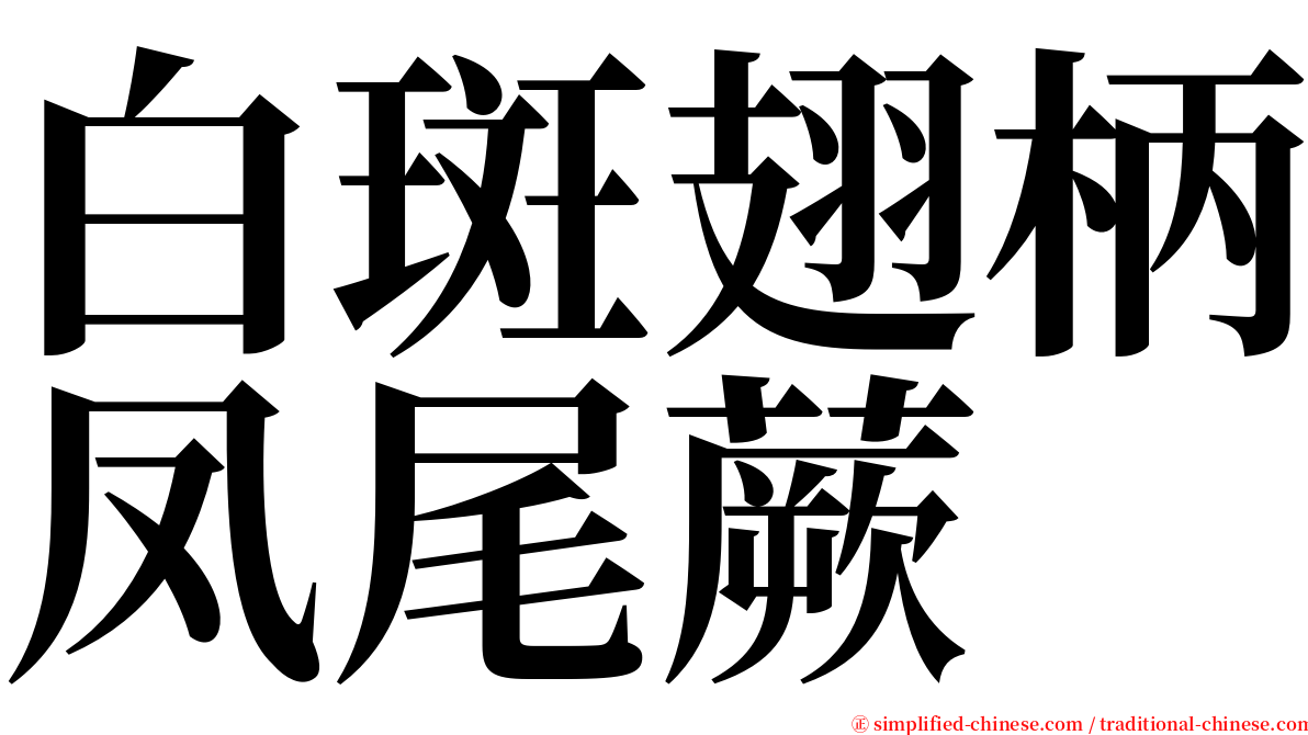 白斑翅柄凤尾蕨 serif font