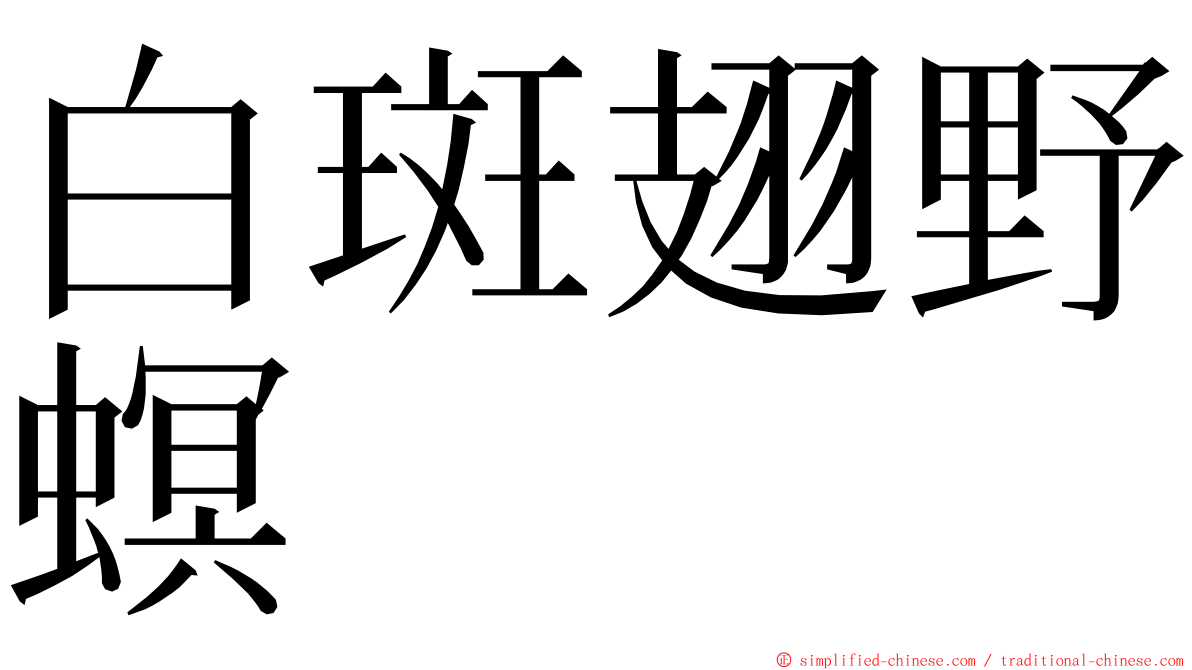 白斑翅野螟 ming font