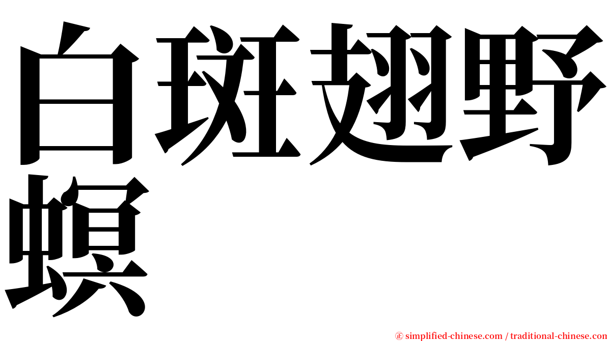 白斑翅野螟 serif font