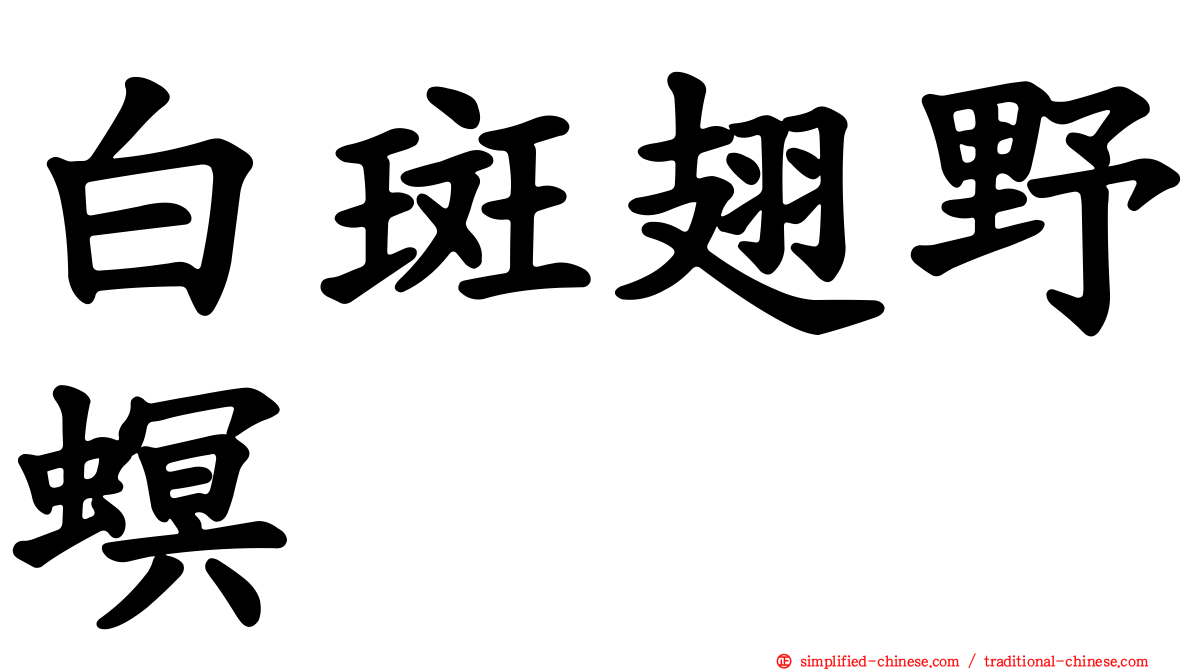 白斑翅野螟