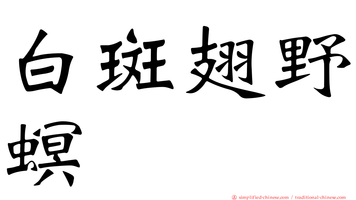 白斑翅野螟