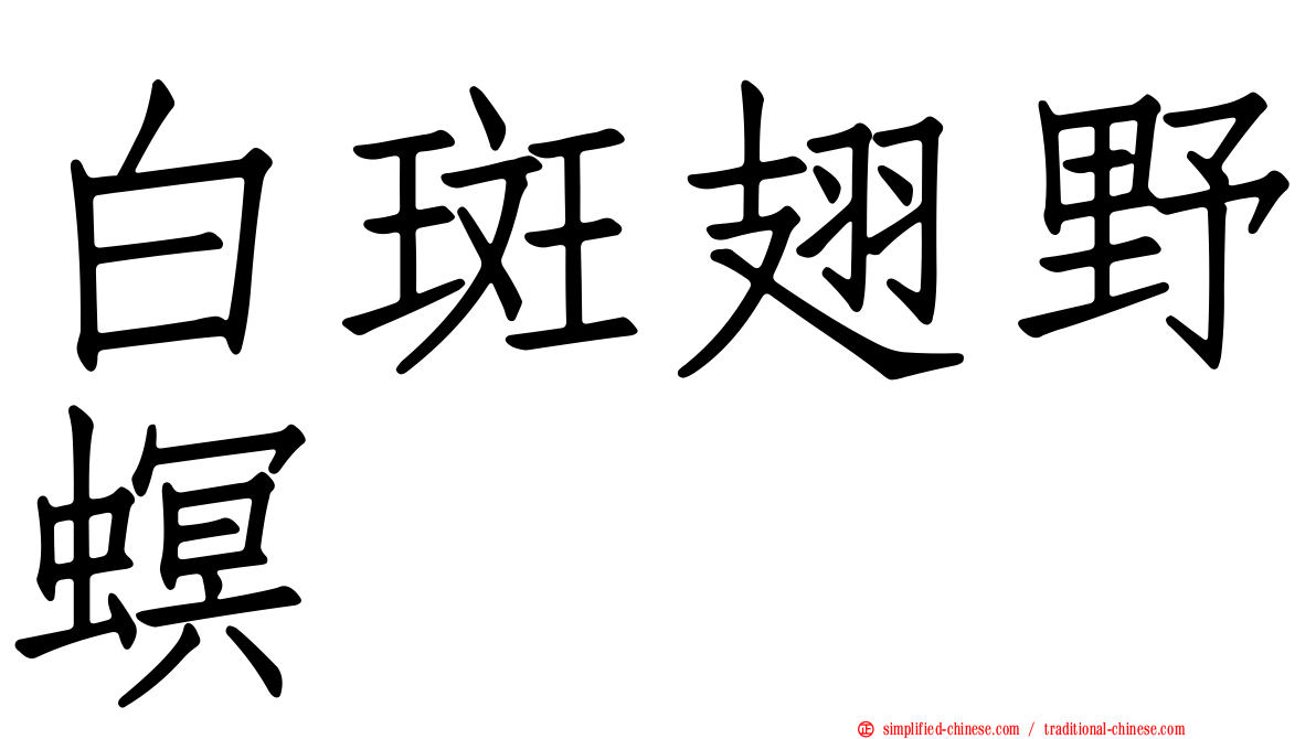 白斑翅野螟