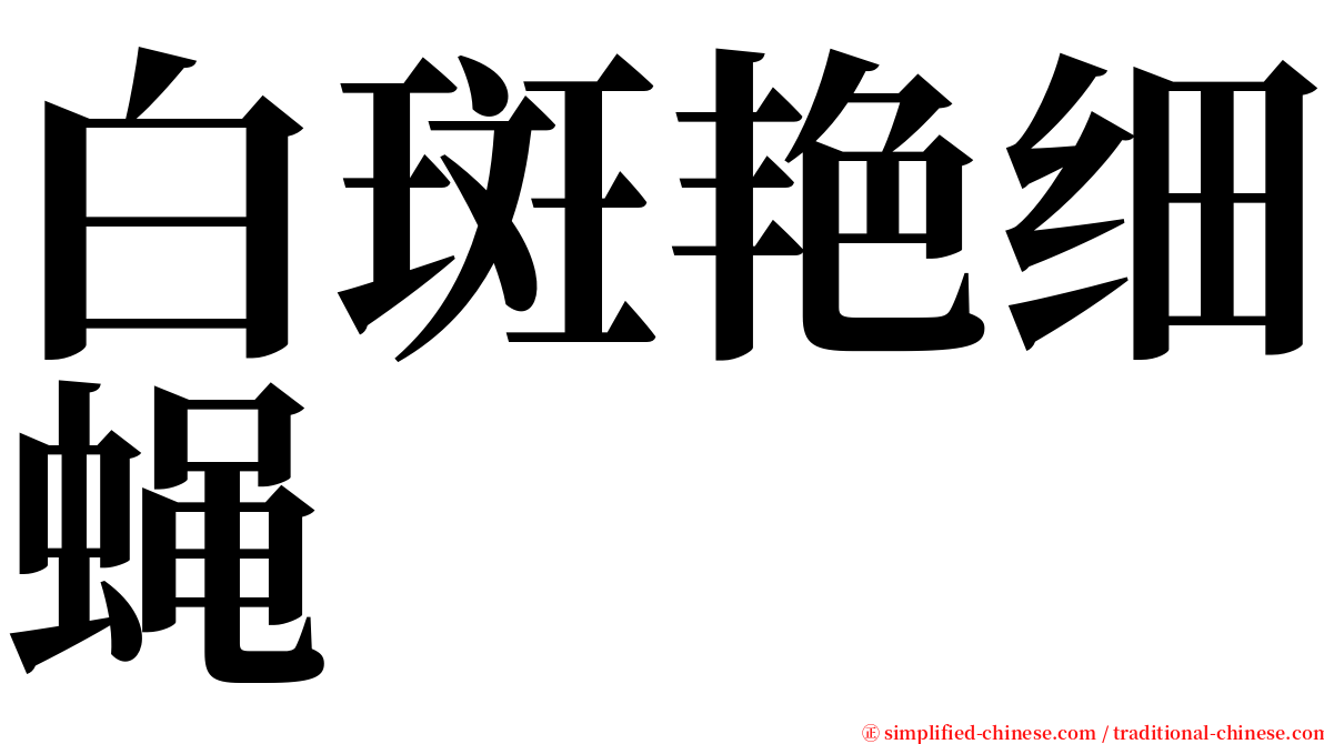 白斑艳细蝇 serif font