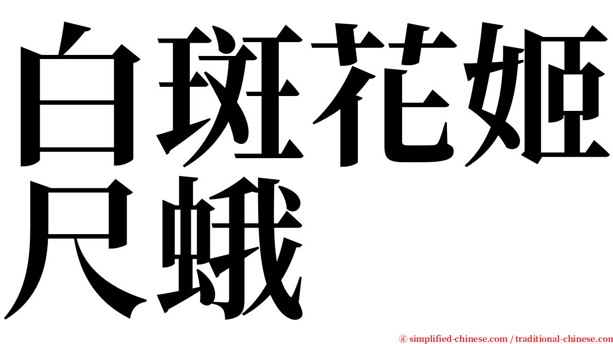 白斑花姬尺蛾 serif font