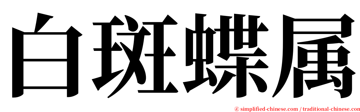 白斑蝶属 serif font