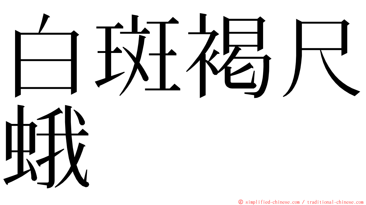 白斑褐尺蛾 ming font