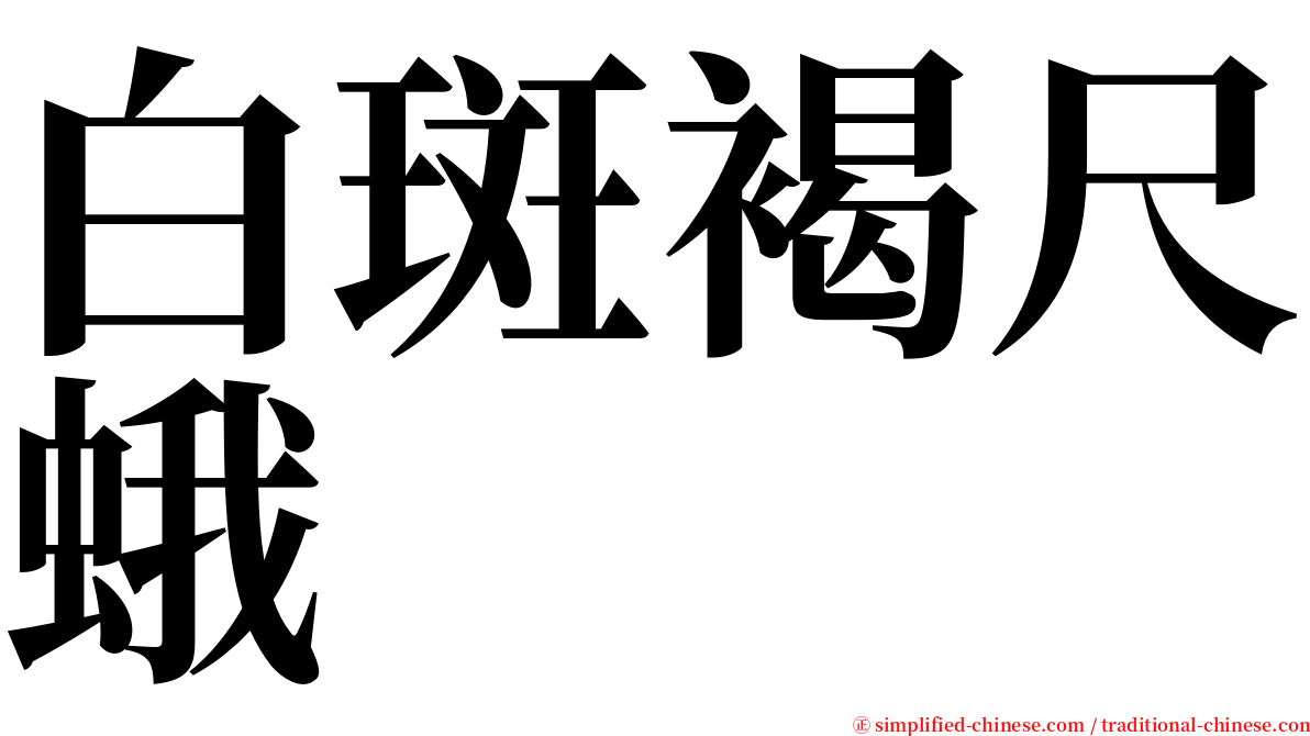 白斑褐尺蛾 serif font