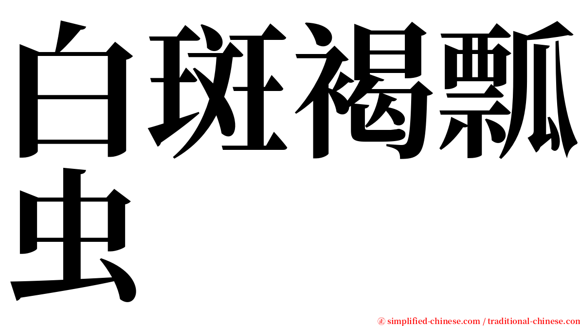 白斑褐瓢虫 serif font