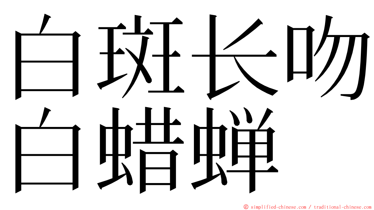 白斑长吻白蜡蝉 ming font