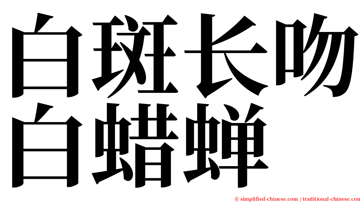 白斑长吻白蜡蝉 serif font