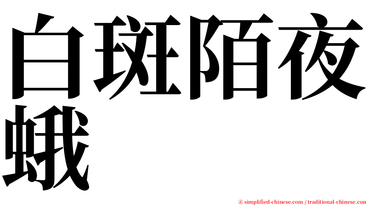 白斑陌夜蛾 serif font