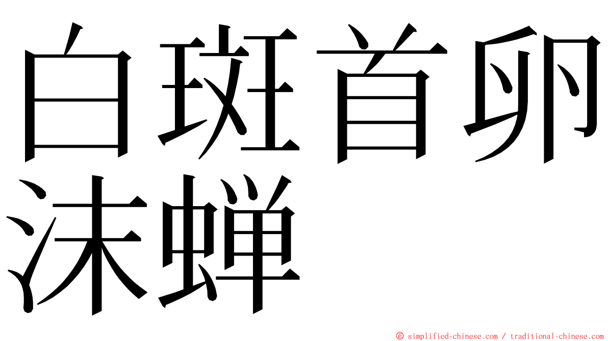 白斑首卵沫蝉 ming font