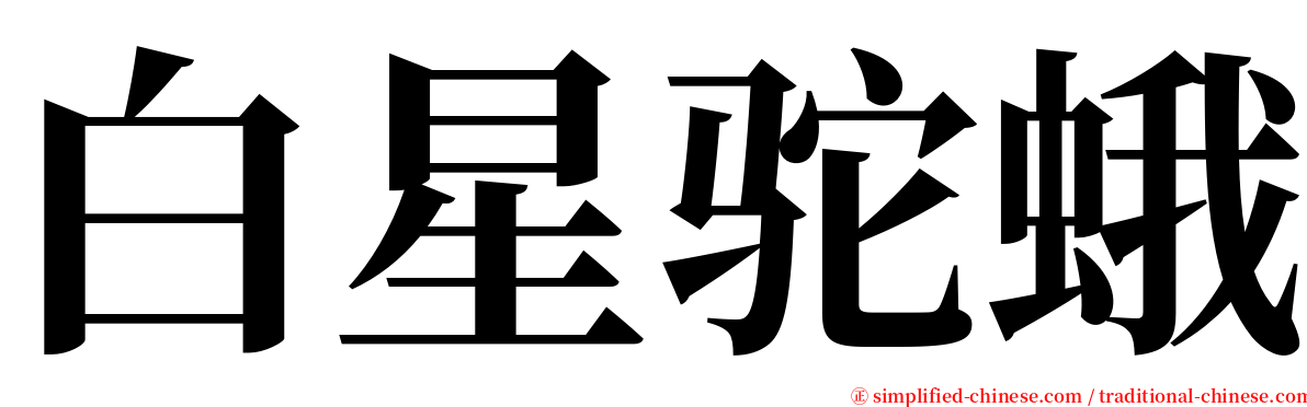 白星驼蛾 serif font