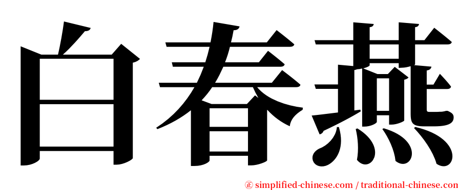 白春燕 serif font