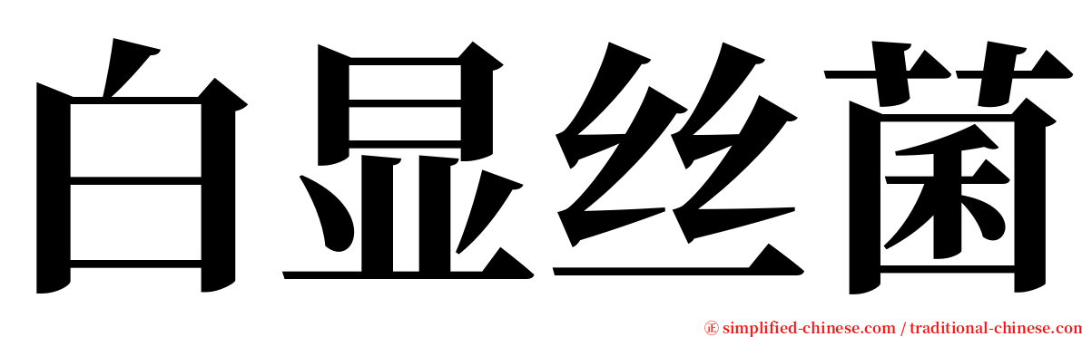 白显丝菌 serif font