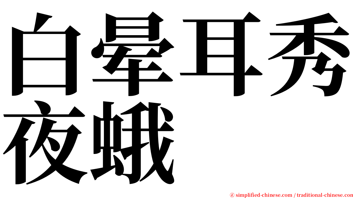 白晕耳秀夜蛾 serif font