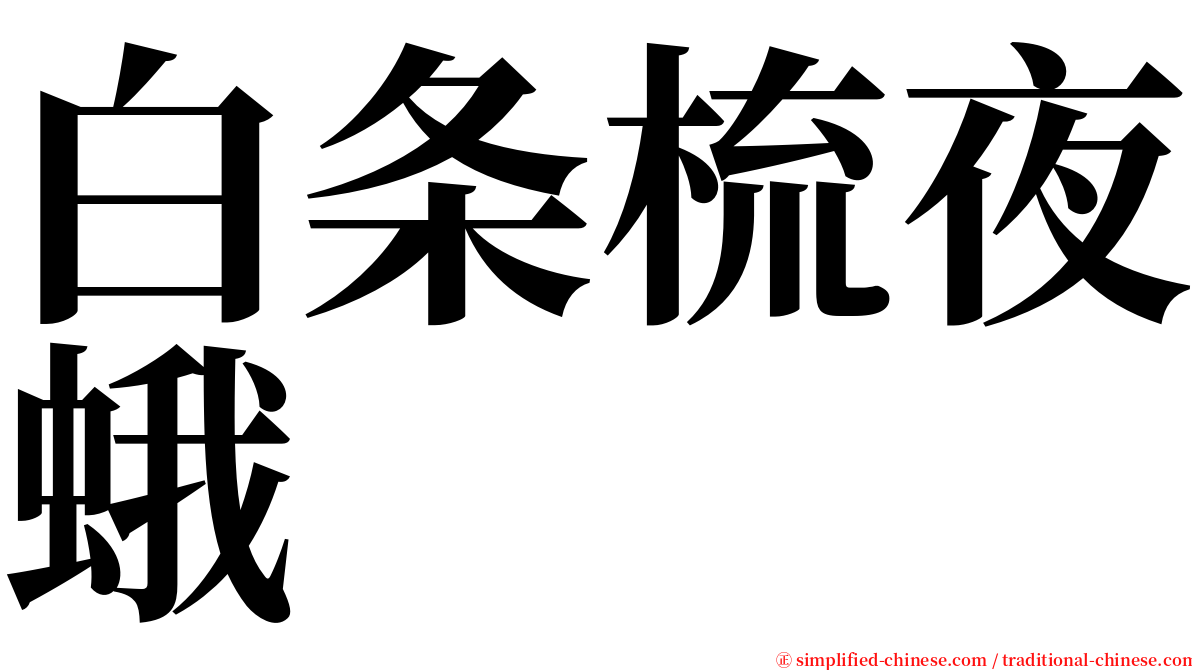 白条梳夜蛾 serif font