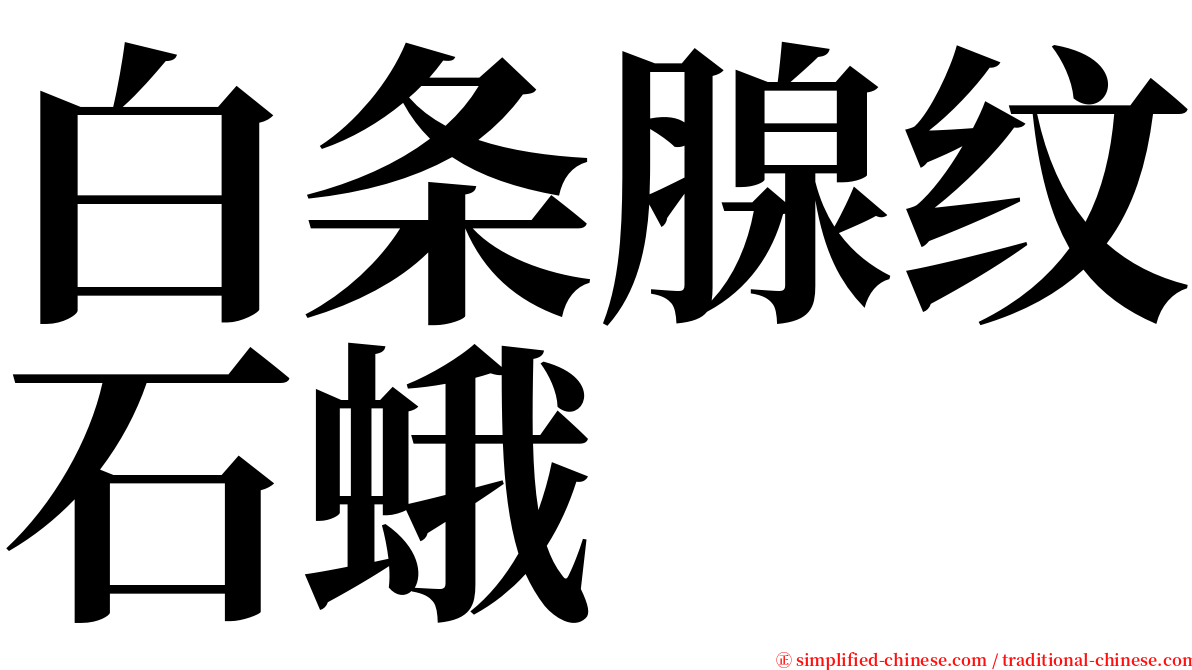 白条腺纹石蛾 serif font