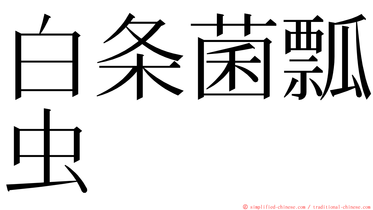 白条菌瓢虫 ming font
