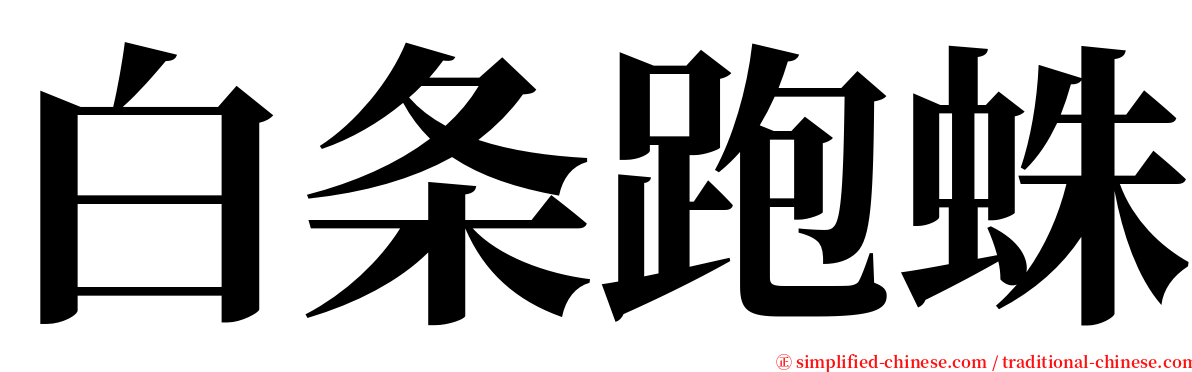 白条跑蛛 serif font