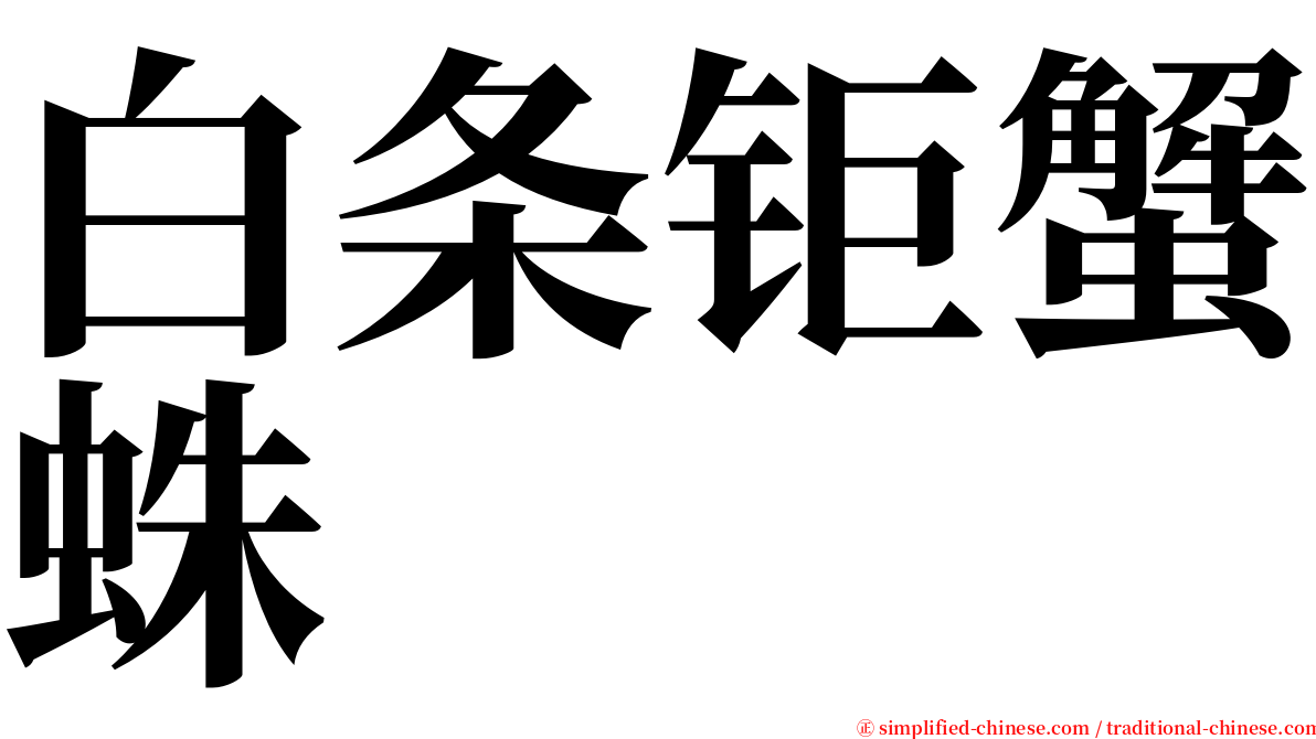 白条钜蟹蛛 serif font