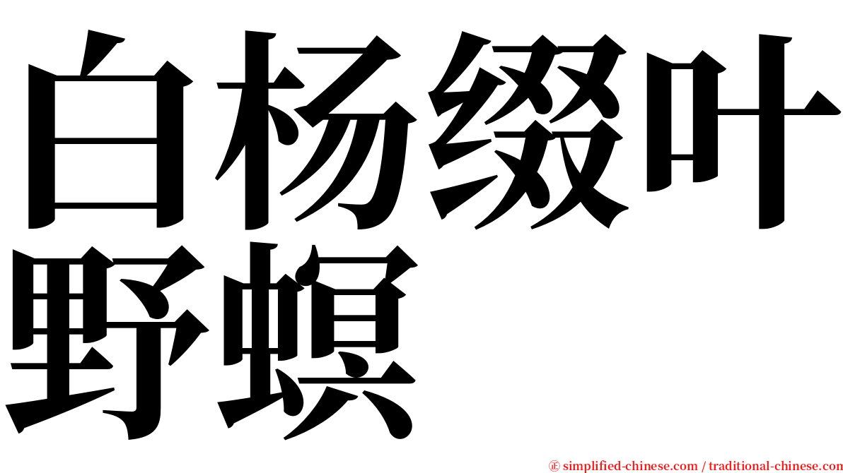 白杨缀叶野螟 serif font