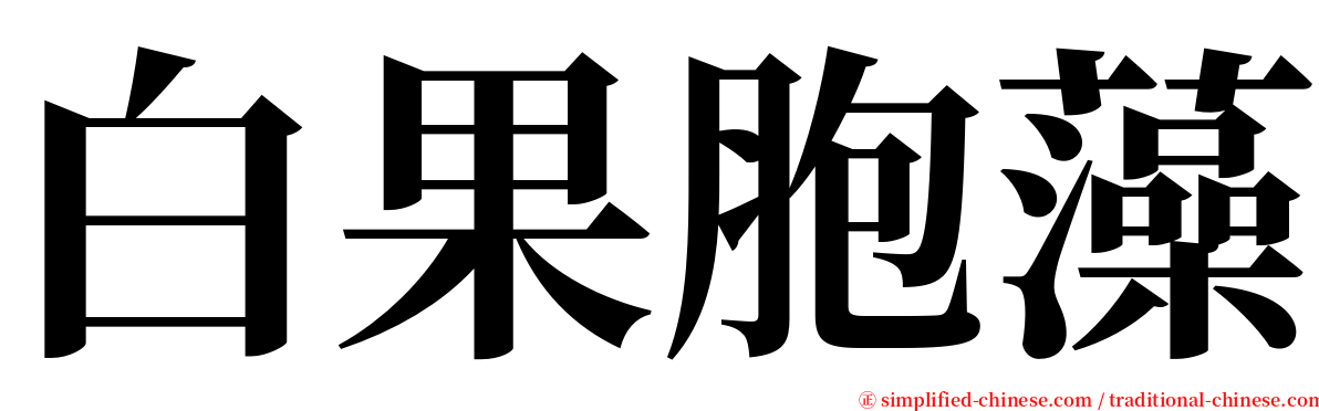 白果胞藻 serif font