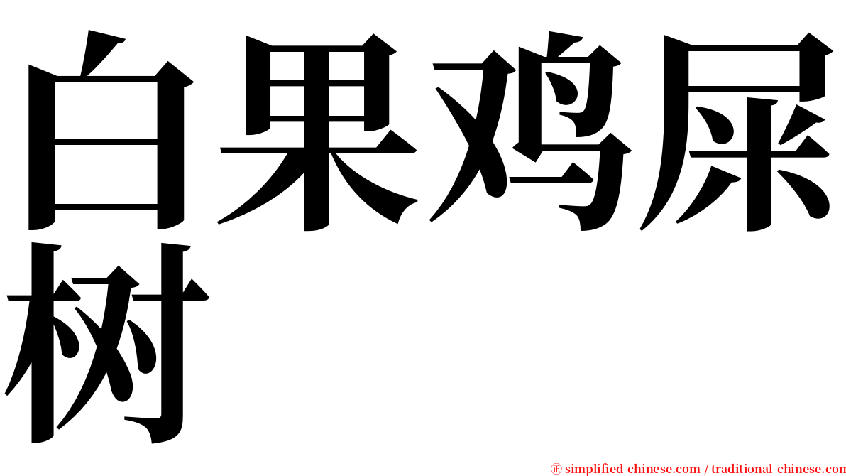 白果鸡屎树 serif font