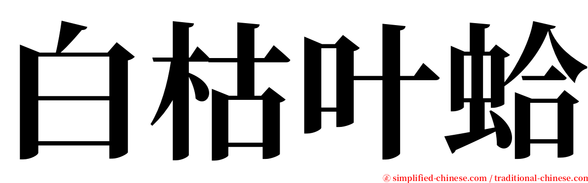 白枯叶蛤 serif font