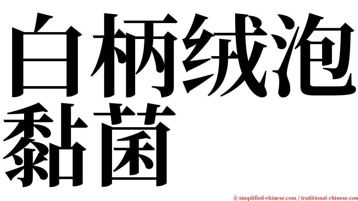 白柄绒泡黏菌 serif font